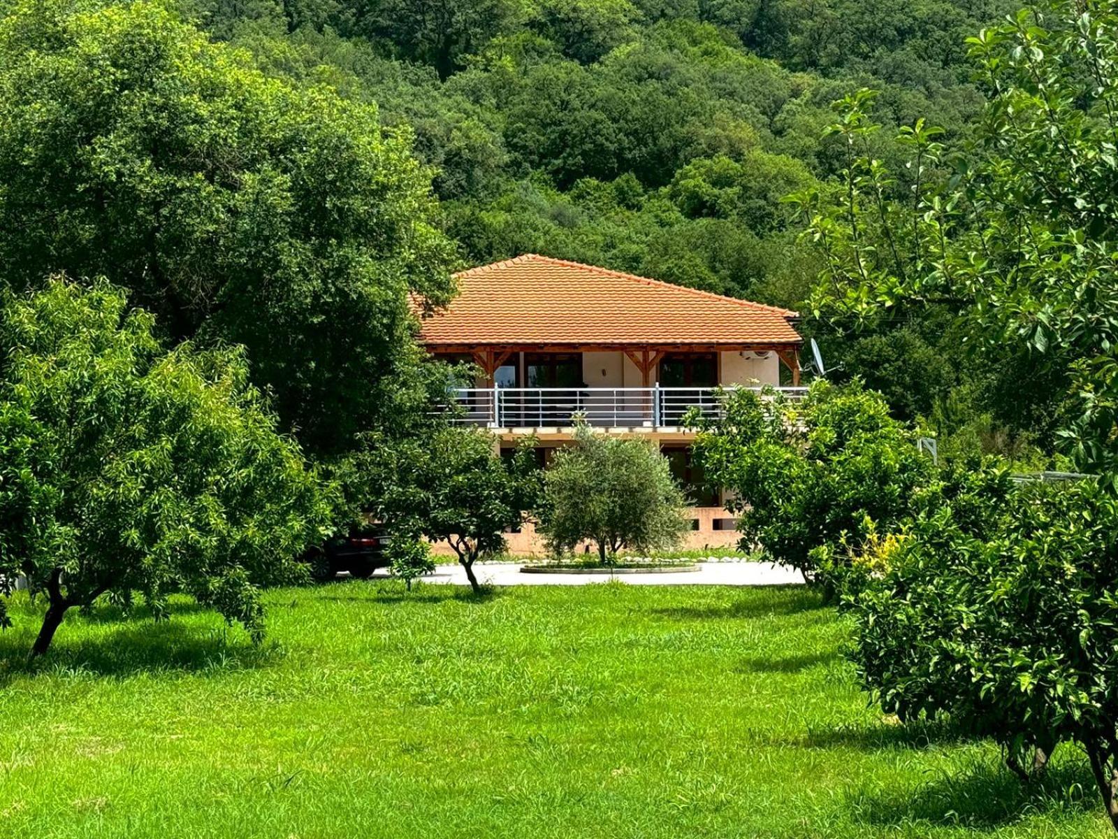 Stars Residence Petrovac Buitenkant foto